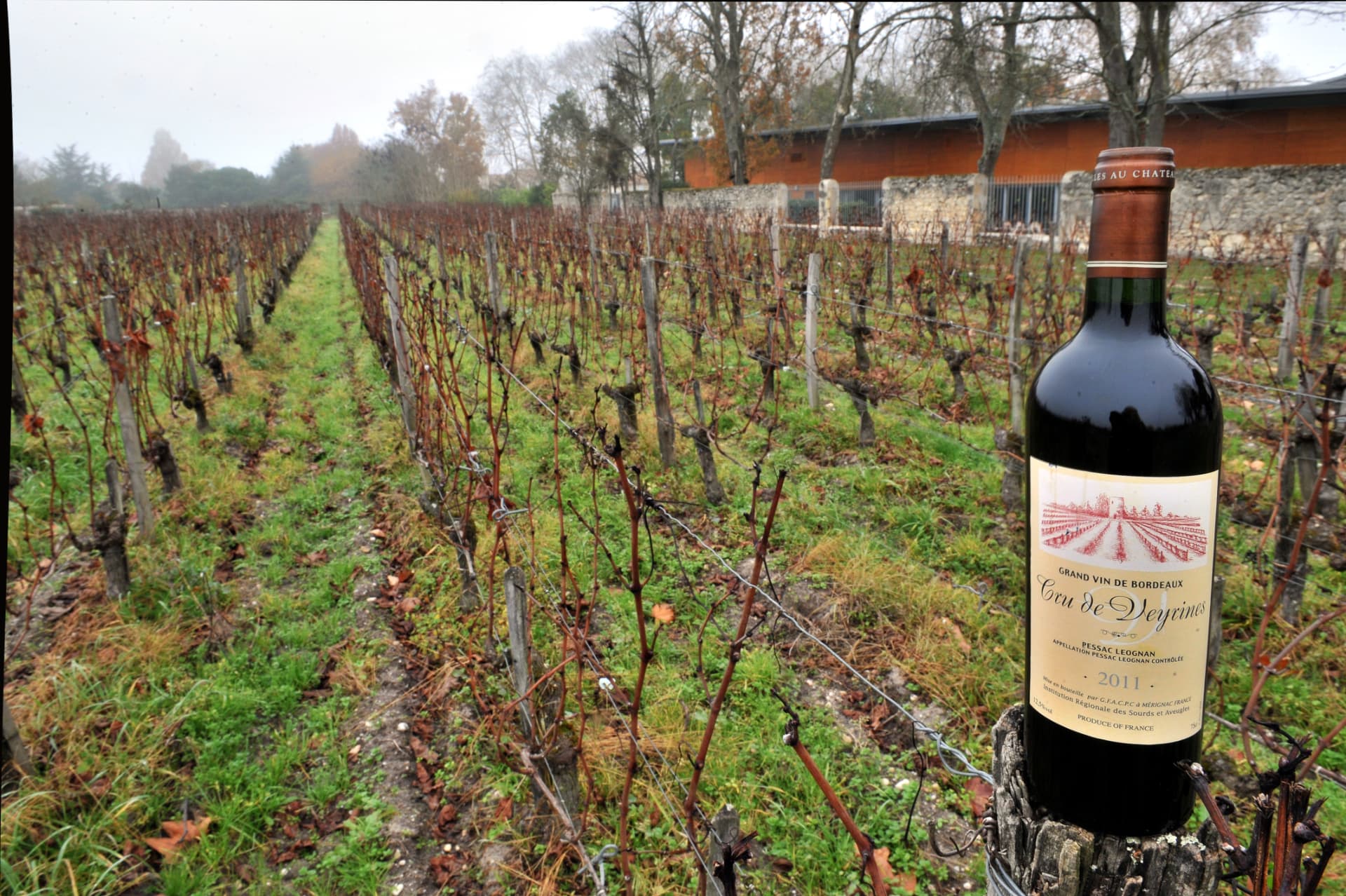 Vignes du Château Picque-Caillou et bouteille Cru de Veyrines
