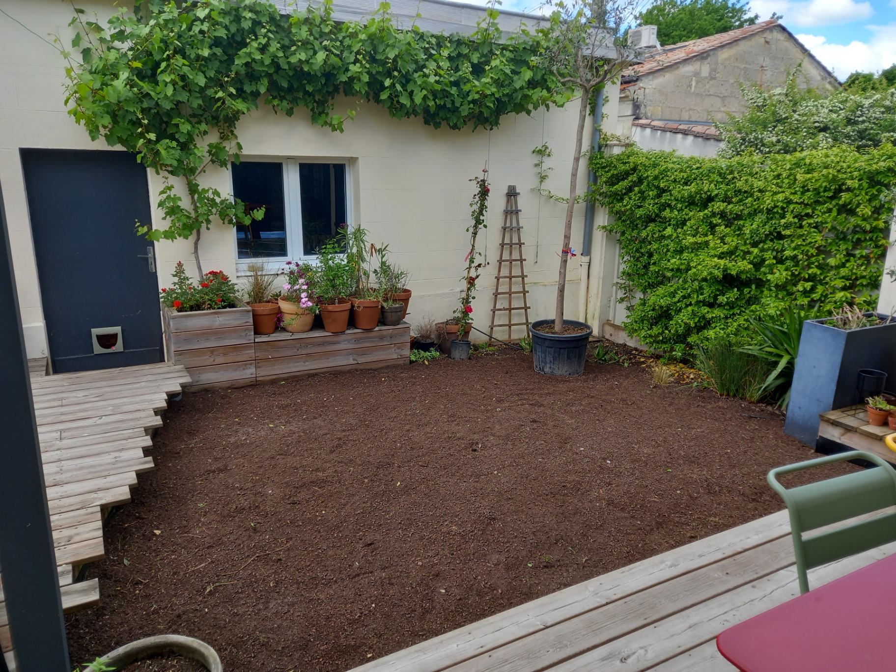 Après l'intervention : terrain nettoyé, nivelé et prêt à être réensemencé